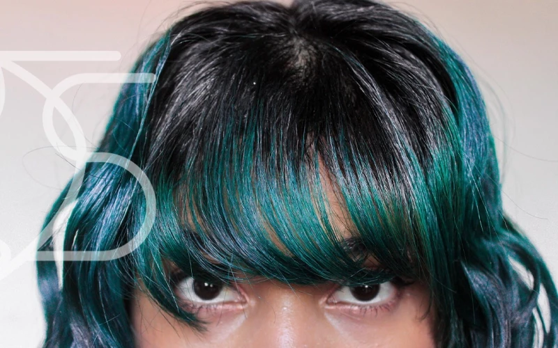 هایلایت موی مشکی فانتزی