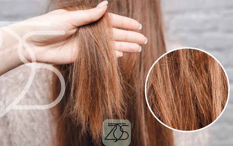 احیای موهای آسیب دیده