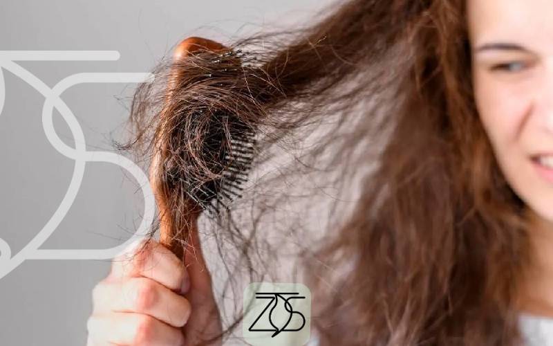 بهترین برندهای شامپو برای موی خشک