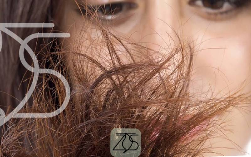 بهترین شامپو برای موهای خشک و وز